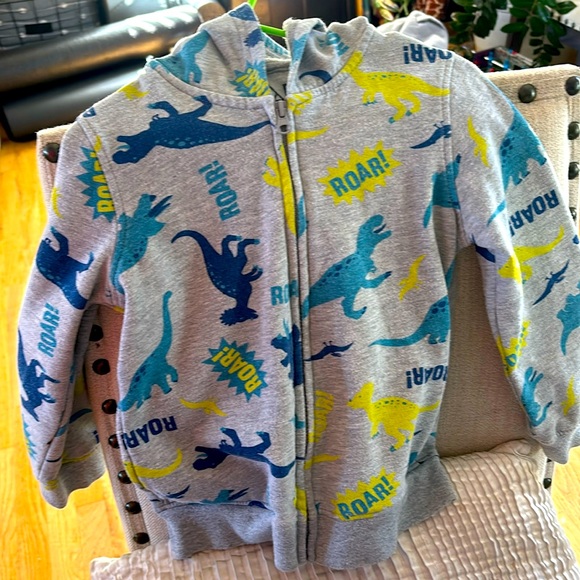 Dino hooded zip up sweatshirt boys size  6, like new. *3 - Picture 1 of 5